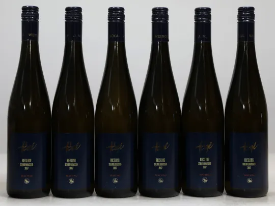 Riesling Steinterrassen 