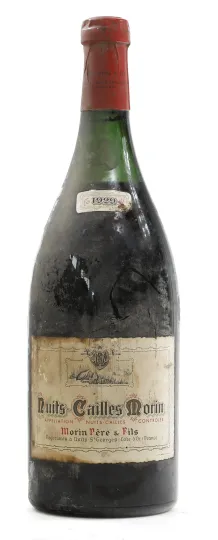 Nuits Cailles Morin