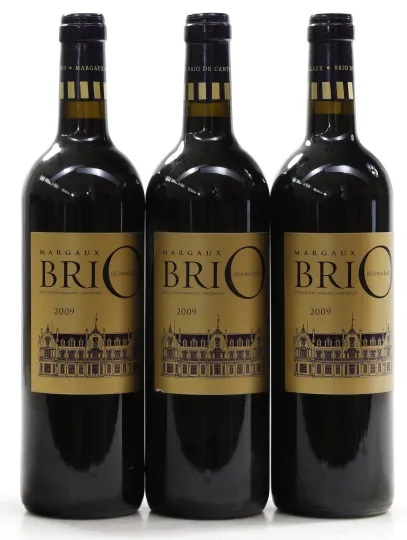 Brio de Cantenac Brown 