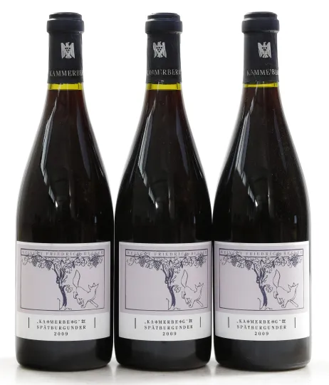 Schweigener Sonnenberg "Kammerberg" Spätburgunder Grosses Gewächs