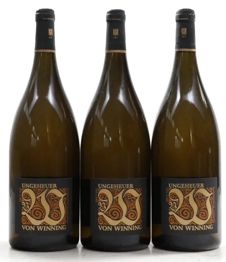 Forster Ungeheuer Riesling Grosses Gewächs 