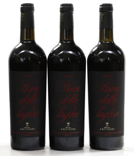 Brunello di Montalcino Pian delle Vigne