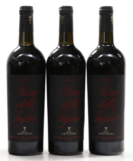 Brunello di Montalcino Pian delle Vigne