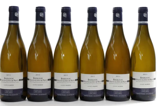 Bourgogne Hautes Cotes de Nuits Cuvee Marine