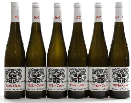 Haardter Bürgergarten "Breumel in den Mauern" Riesling Grosses Gewächs