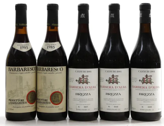Barbera d'Alba Cannubi