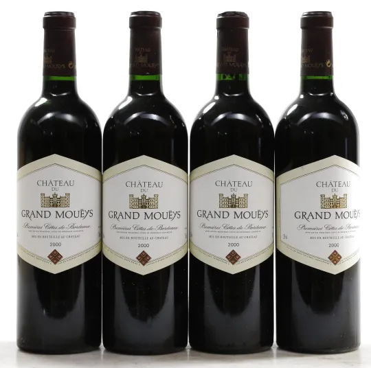 Chateau Grand Moueys