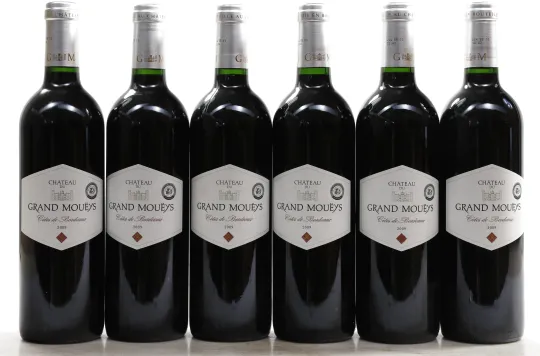 Chateau Grand Moueys