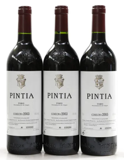Pintia