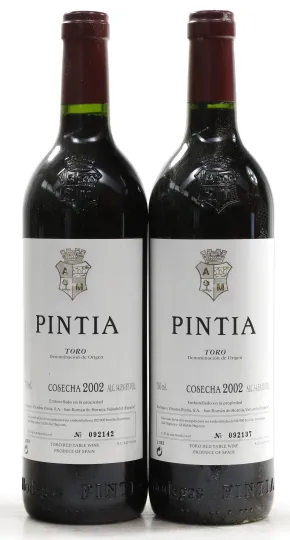 Pintia