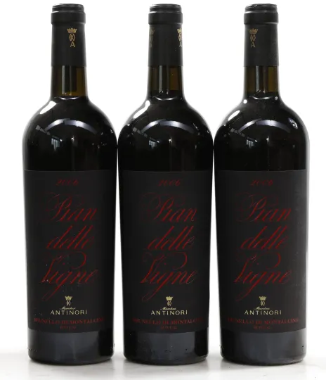Brunello di Montalcino Pian delle Vigne