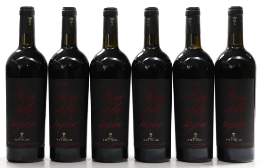 Brunello di Montalcino Pian delle Vigne