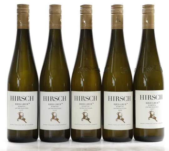Kammern Ried Grub Grüner Veltliner ÖTW 1.Lage
