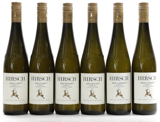 Kammern Ried Gaisberg Grüner Veltliner ÖTW 1.Lage
