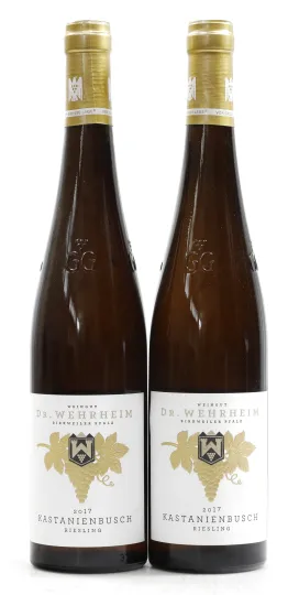 Birkweiler Kastanienbusch Riesling Grosses Gewächs