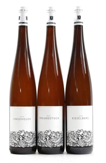 Deidesheimer Kieselberg Riesling Grosses Gewächs