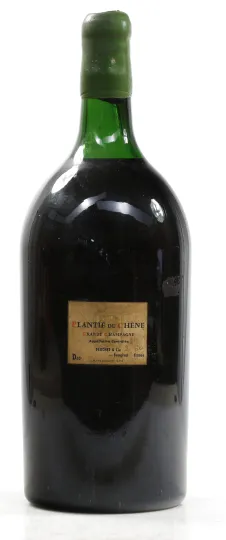 Plantie du Chene Grande Champagne 