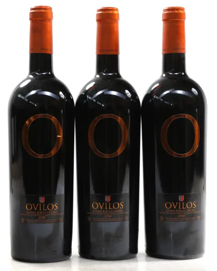 Biblia Chora Ovilos Cabernet Sauvignon 2010