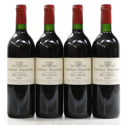 Chateau Paloumey