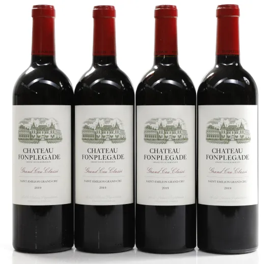 Chateau Fonplegade