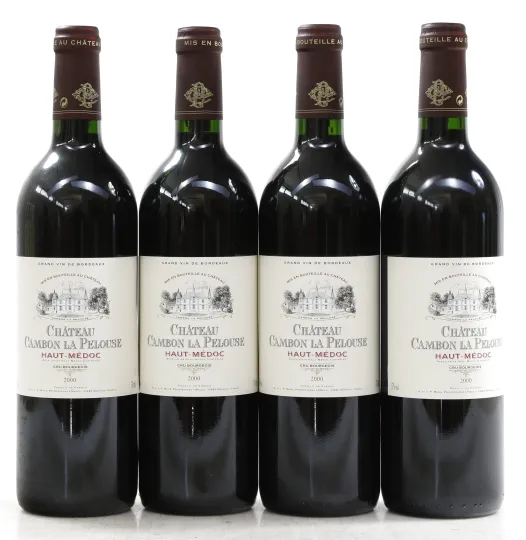 Chateau Cambon la Pelouse