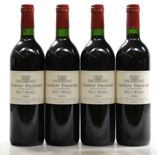 Chateau Paloumey