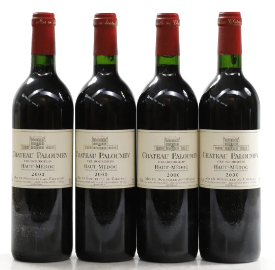 Chateau Paloumey