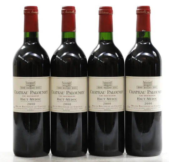 Chateau Paloumey