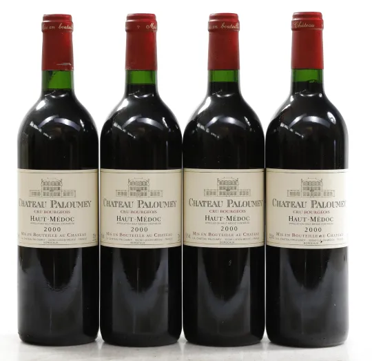 Chateau Paloumey