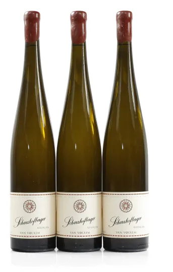 Wiltinger Scharzhofberger Riesling Grosses Gewächs
