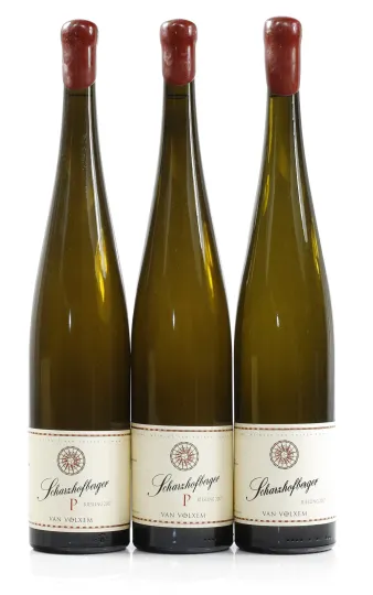 Wiltinger Scharzhofberger Pergentsknopp Riesling Grosses Gewächs