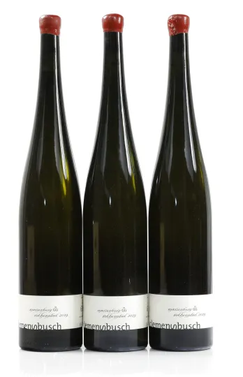 Pündericher Marienburg Rothenpfad Riesling Grosses Gewächs