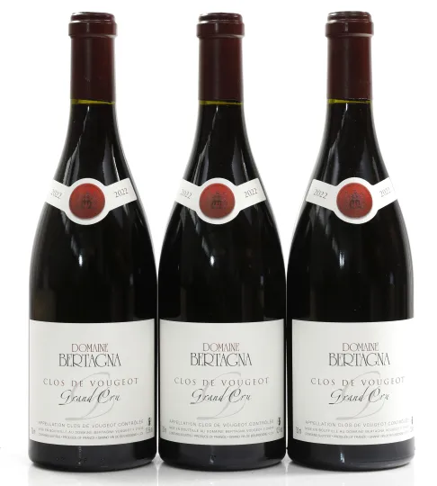 Clos de Vougeot Grand Cru