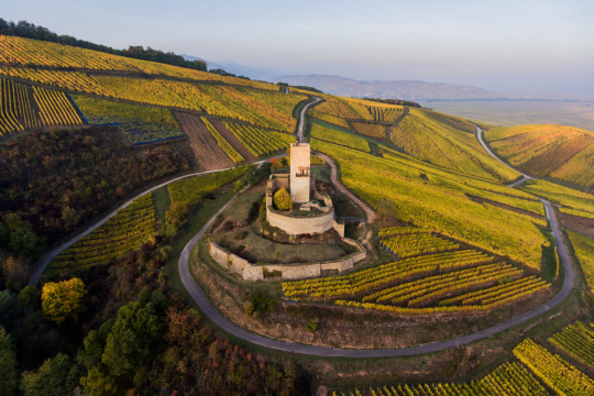 Das Elsass, vom süßen Klischee zur angesagten Qualität