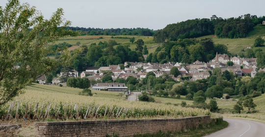 Burgunder Eleganz in Perfektion