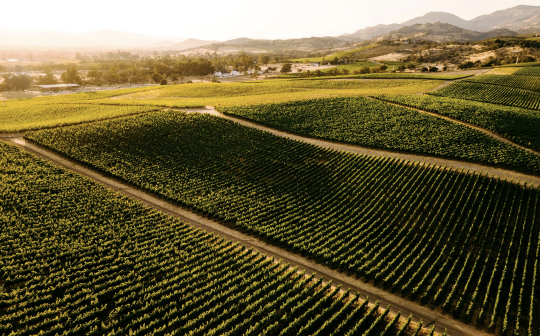 Moderne Eleganz trifft auf kalifornische Power