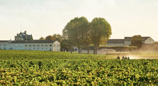 Château Mouton Rothschild 1928 – Legendärer Pauillac aus einem Jahrhundertjahrgang