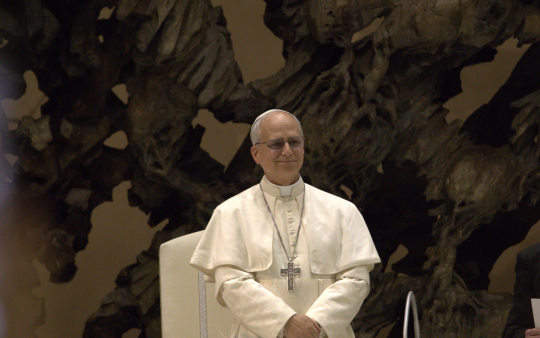 Erster Wein aus dem Weinberg des Papstes vorgestellt