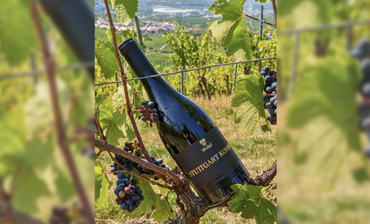 VfB Stuttgart Wein: Cuvée „Stuttgart kommt“